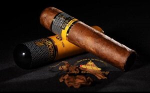 cigar-vinaboss-55-la-gi Hương vị xì gà Vinaboss 55